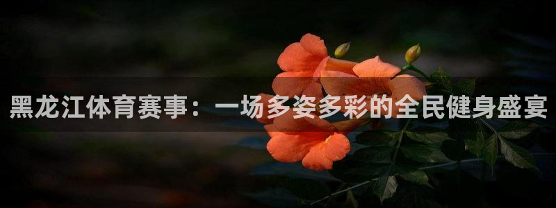 黑龙江体育赛事：一场多姿多彩的全民健身盛宴