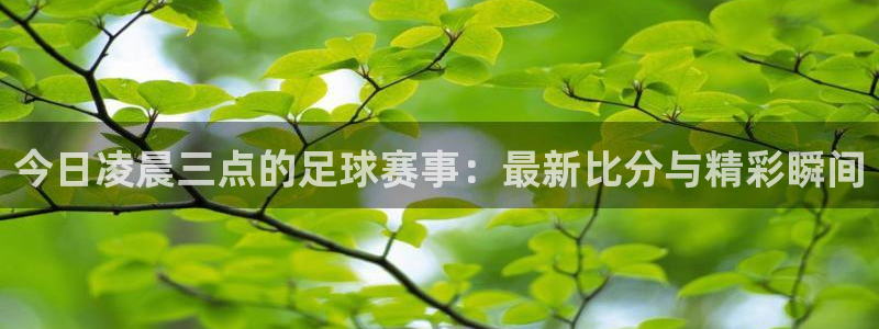 今日凌晨三点的足球赛事：最新比分与精彩瞬间