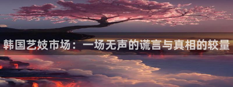 韩国艺妓市场：一场无声的谎言与真相的较量