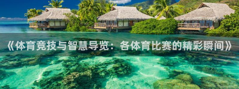 《体育竞技与智慧导览：各体育比赛的精彩瞬间》