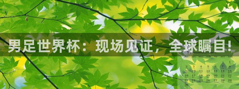 男足世界杯：现场见证，全球瞩目!