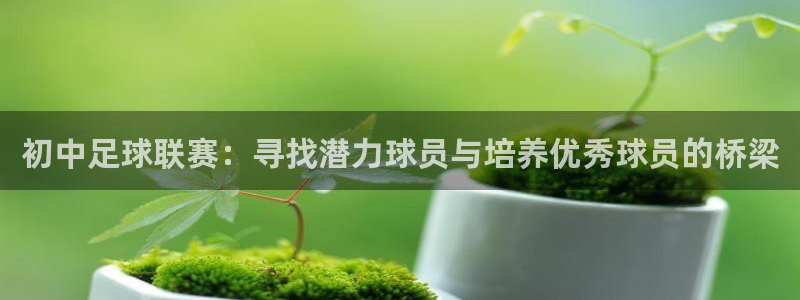 初中足球联赛：寻找潜力球员与培养优秀球员的桥梁