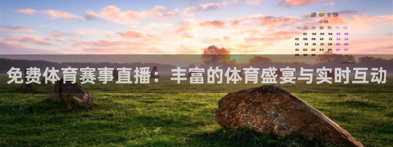 免费体育赛事直播：丰富的体育盛宴与实时互动