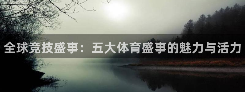 全球竞技盛事：五大体育盛事的魅力与活力