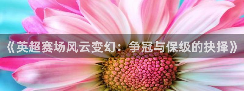 《英超赛场风云变幻：争冠与保级的抉择》