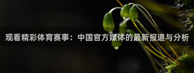 观看精彩体育赛事：中国官方媒体的最新报道与分析