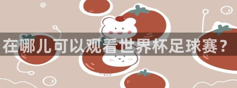 在哪儿可以观看世界杯足球赛?