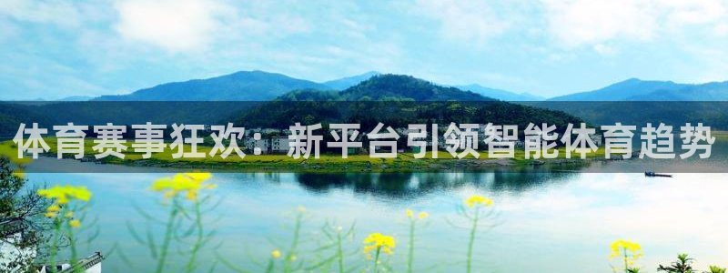 体育赛事狂欢：新平台引领智能体育趋势