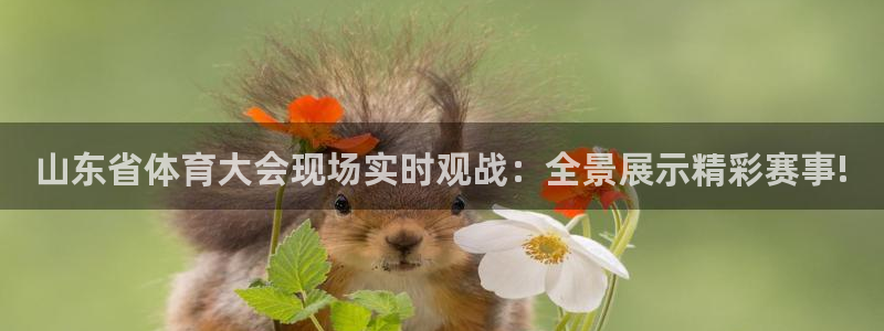 山东省体育大会现场实时观战：全景展示精彩赛事!